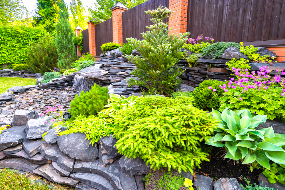 Landscape design in home garden