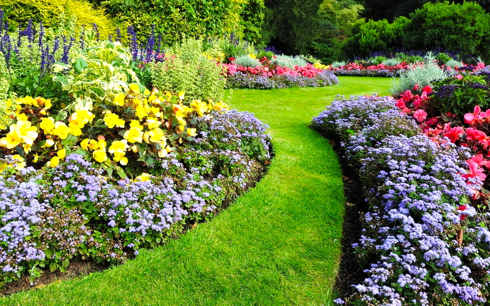 Scenic View of Colourful Flowerbeds and a Winding Grass Lawn Pathway