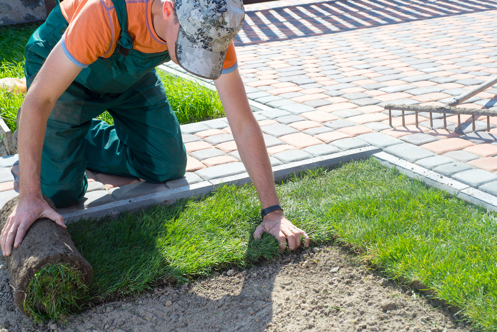 Natural Grass Turf Professional Installer