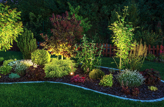 Landscape Lighting