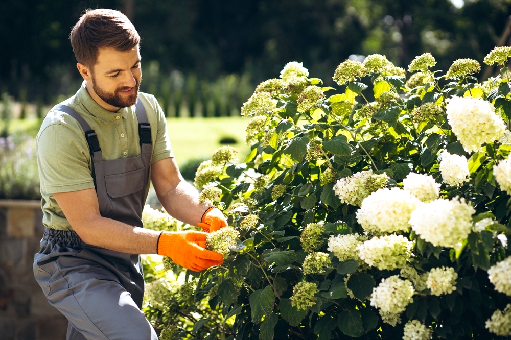 Garden worker trimming flower bushes