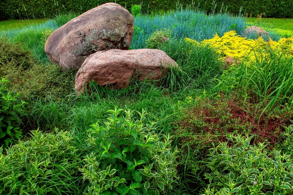 Amazing Landscaping Rocks