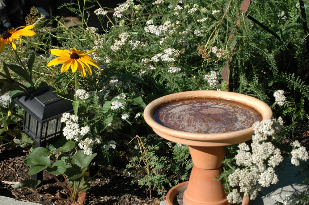 Different Outdoor Decor