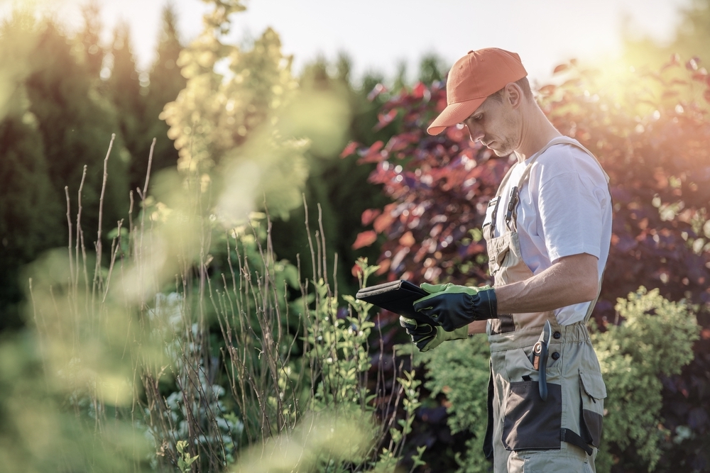 Landscaping Service Jefferson Parish