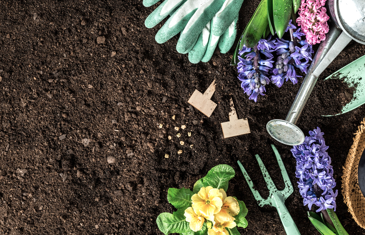 Cheap Landscapers Near Me Louisiana