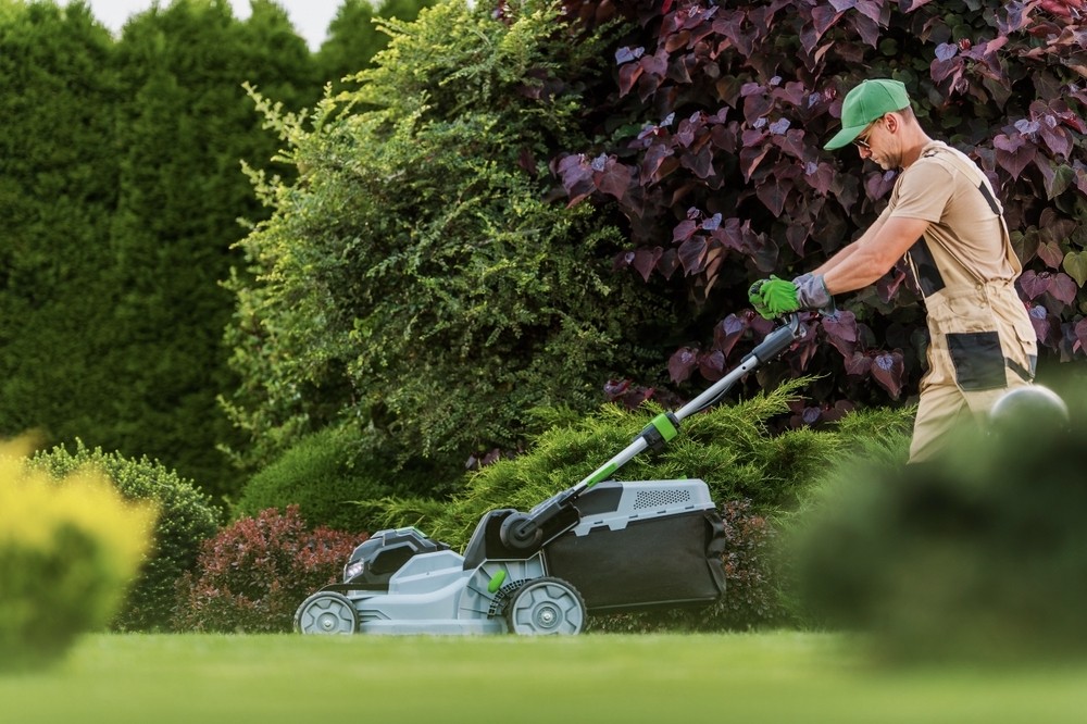 Cheap Landscapers Near Me New Orleans