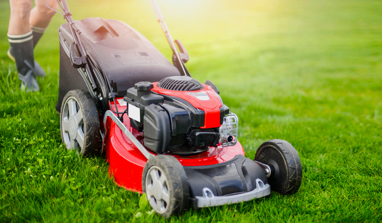 landscape maintenance near me lawn