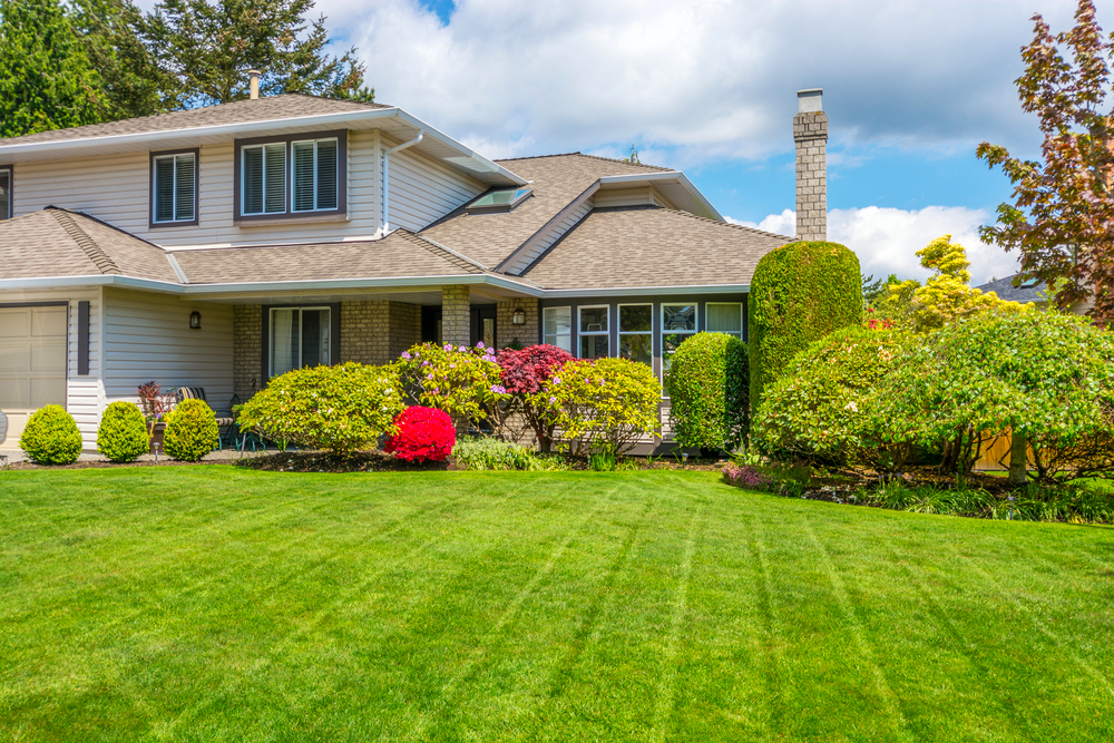 landscape maintenance near me
