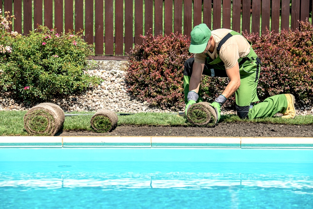Professional landscaper installing turf beside the swimming pool